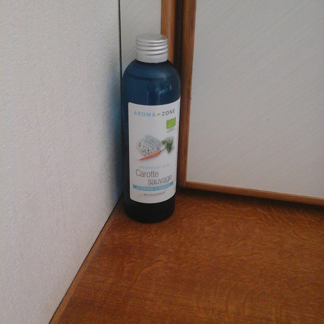 11372280_465815746918577_204170528_n