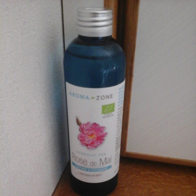 11378635_1447392698896121_1309535203_n