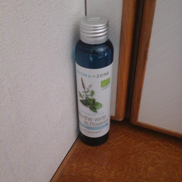 11421908_1646560145562731_851179672_n