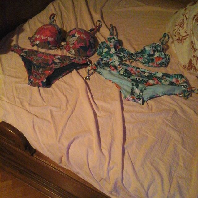 Jacine été 2014 et Oeillet été 2015