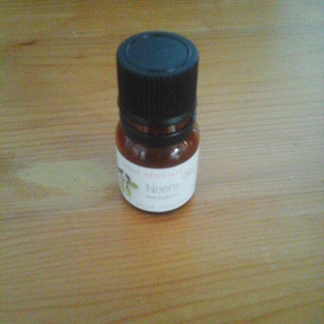 11335604_376485759227275_802406576_n