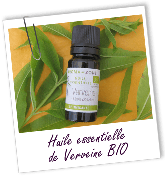 FT_trombone_HE_MS_verveine_bio