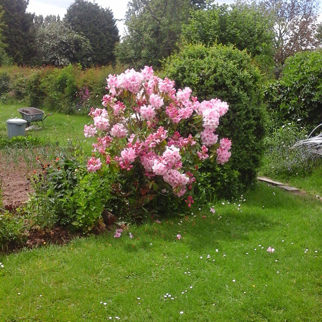 11334671_713619715430647_1901285728_n