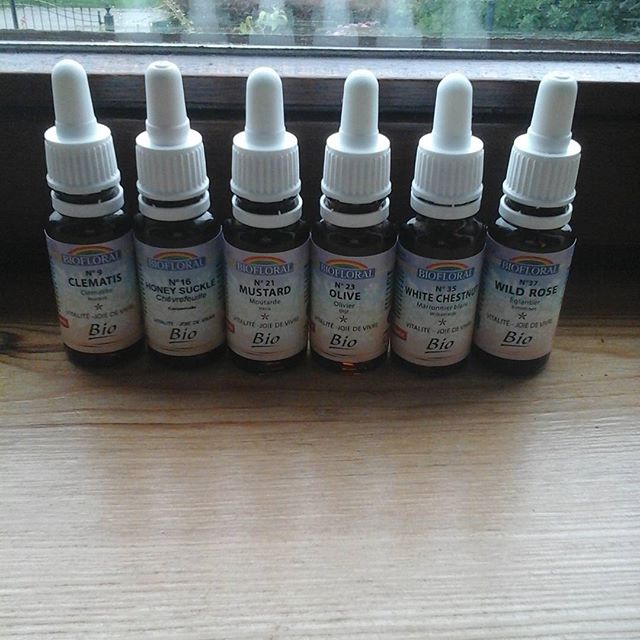 11934888_164150720588510_2107333424_n