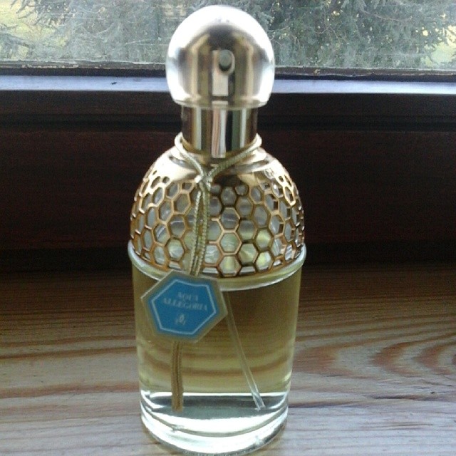 1799578_598352983567375_1200523672_n