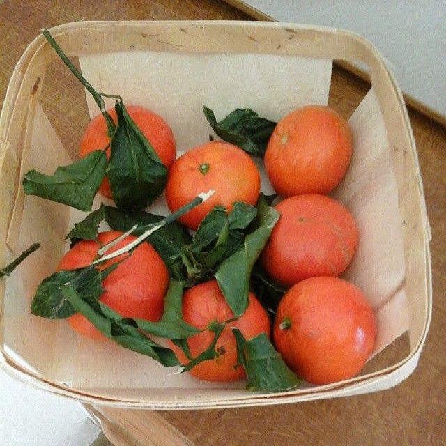 928156_672789852759074_1611857635_n