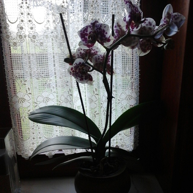 1741480_422648907869982_1747694236_n