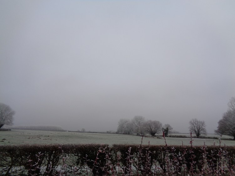 dsc00543