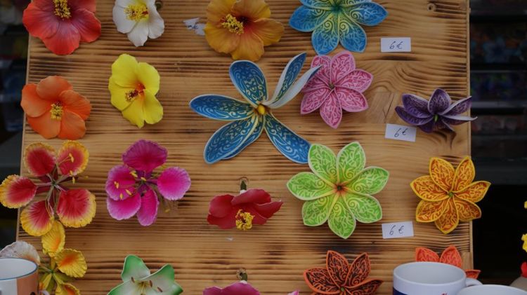 66251521_1167433830110655_4325486294223290368_o