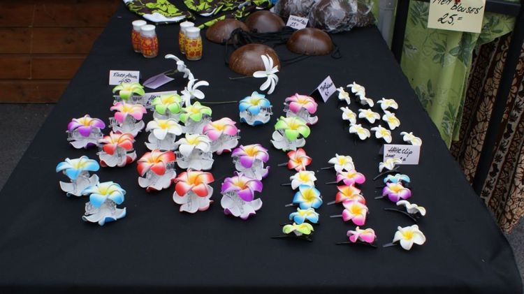 66353817_1167435390110499_3194978892494405632_o